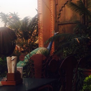 Jaipur Peacock Rooftop Restaurant