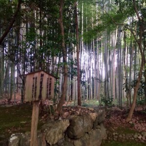 Kyoto Jizo-in Temple