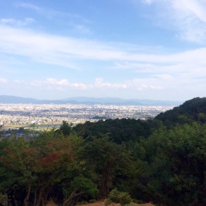 Kyoto City View