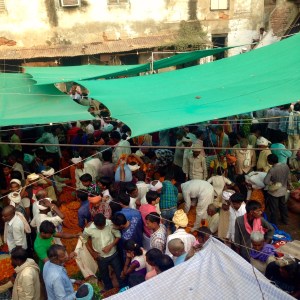 Varanasi Flower Market