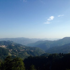 Shimla View