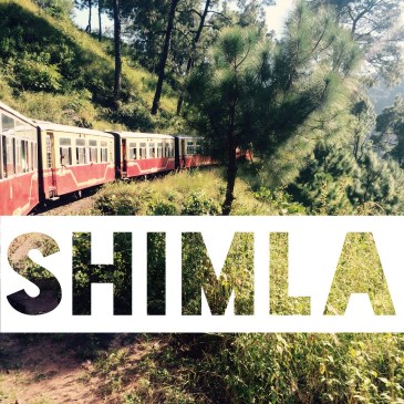 Shimla
