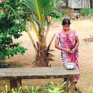 Kerala Backwater Fresh Prawns