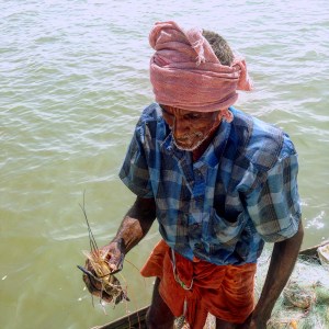 Kerala Backwater Local Fisherman