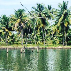 Kerala Backwaters Chinese Fishing Nets