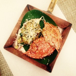 Bangalore Malabar Coast Crab