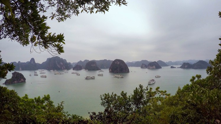 Halong Bay Titop Mountain Panorama