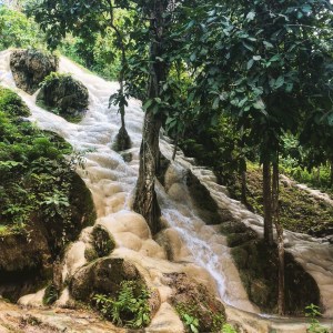 Chiang Mai Bua Tong Sticky Waterfall