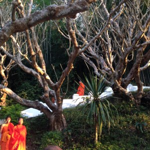 Luang Prabang Buddhist Monks